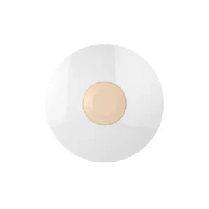 ĐÈN LED ỐP TRẦN RẠNG ĐÔNG 36W LN26 ĐM 360/36W