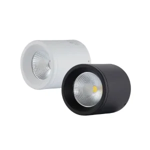 Đèn LED Ốp Trần Rạng Đông 10W NT01 110/10W